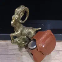 دوربین کولکسیونی