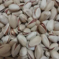 مغز گردو توت برگ زردالو پسته انجیر مویز کشمش|خوردنی و آشامیدنی|رباط‌کریم, شهرک صنعتی پرند|دیوار