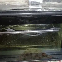 سرخ کن پلوپز و تستر|سایر لوازم برقی|یاسوج, |دیوار