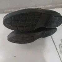 کفش کت و شلوار|کیف، کفش، کمربند|بهارستان, |دیوار