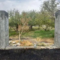 فروش ۳۰۰متر زمین متری ۲۸۰۰ تک برگ انشعابات|فروش زمین و ملک کلنگی|دماوند, دماوند|دیوار