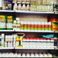 سمپاشی سوسک وساس|خدمات نظافت|مشهد, پنجتن|دیوار