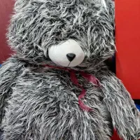 خرس خیلی قشنگ و شیک