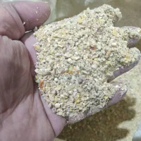 دان بوقلمون