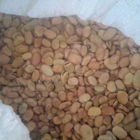 باقله وگندم زرانگوش