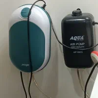 اکواریوم بزرگ|ماهی|تبریز, |دیوار