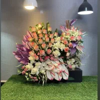 دسته گل باکس گل|گل و گیاه طبیعی|برخوار, |دیوار