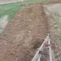 خدمات کشاورزی