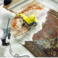 قالیشویی ومبل شویی*دریا* در رباط کریم پرندوگلستان