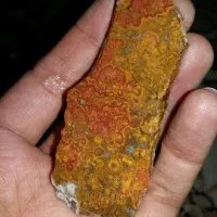 سنگ طبیعی|کلکسیون اشیاء عتیقه|علیآباد کتول, |دیوار