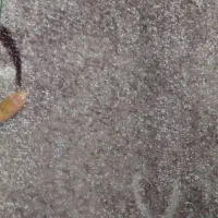 موکت پرزدار(پالاز)|موکت|یاسوج, |دیوار