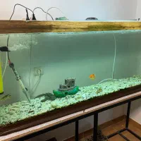 فروش آکواریوم سالم با تمام لوازم جانبی
