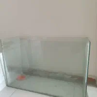 آکواریوم شیشهای ساده|ماهی|تهران, جمالزاده|دیوار