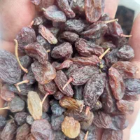 خشکبار بوانات ،،عمده و خرده .|خوردنی و آشامیدنی|شیراز, احمدی جنوبی|دیوار