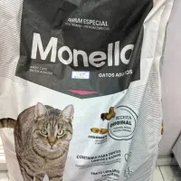 غذای خشک گربه و سگ