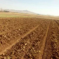 اجاره-زمین-جهت-کشت-صیفی