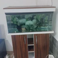 آکواریوم یک متری
