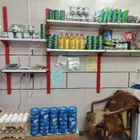 چای لاهیجان وتن ماهی گلکسی و رب پایا و یومورتا