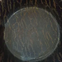 ست قابلمه ماموت|ظروف پخت‌وپز|کرمان, |دیوار