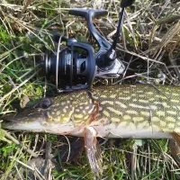 چرخ ماهیگیری برند میشل