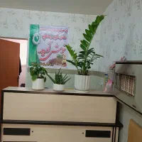 حجامت فصدخون بادکش گرم و ماساژ درمانی‌