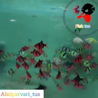 فروش عمده ماهی تایگر یکسانتی|ماهی|تهران, خرمشهر|دیوار