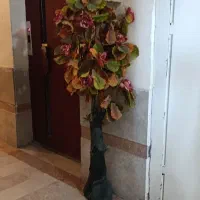 درختچه مصنوعی|گل مصنوعی|مراغه, |دیوار