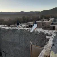 چپ سیاه شقه|پرنده|مشهد, هدایت|دیوار