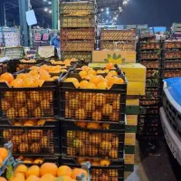 اجاره حجره در میدان تره بار مرکزی