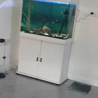 آکواریوم پیش ساخته ی شرکتی کامل با ماهی های خاص
