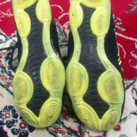 کفش کشتی 37|ورزش‌های توپی|تربت‌حیدریه, قائم|دیوار