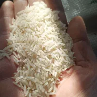 برنج اعلائ فجرسوزنی بابهترین عطروپخت