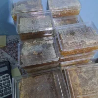 عسل ارگانیک مرغوب کوهی گون|خوردنی و آشامیدنی|شیراز, عادل آباد|دیوار