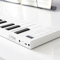 پیانو تاشو|پیانو، کیبورد، آکاردئون|تهران, امامت|دیوار