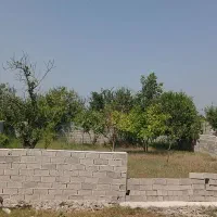 140 متر باغچه کمربندی امیرکلا