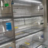 هشت خان غلامی|لوازم جانبی حیوانات|شاهدشهر, |دیوار