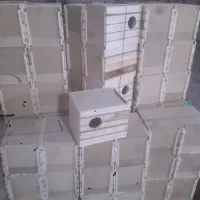 لونه عروس هلندی کوتوله برزیلی