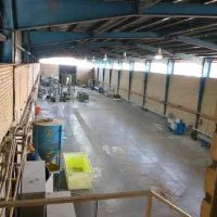 اجاره کارخانه یک هکتاری برق۵۰۰ گاز ۱۰۰ کد۲۰۳۴|اجارهٔ دفتر صنعتی، کشاورزی، تجاری|زاویه, |دیوار