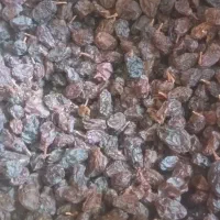 کشمش مویز آفتابی درشت گوشت دار|خوردنی و آشامیدنی|تهران, فلاح|دیوار