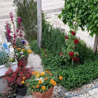 اجار ۳۰۰ متری ۵ خوابه در خ صباحی مناسب مهد کودک|اجارهٔ خانه و ویلا|اصفهان, فجر|دیوار
