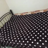 فروش فوری|تخت و سرویس خواب|شاهین‌شهر, طالقانی|دیوار