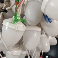 اجاره ریسه .. پرژکتور