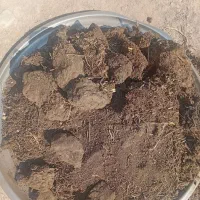 فروش کودچمن طبیعی