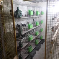 قفس کفتر (جفتکن ،جفتگاه، پاجفتی کبوتر)|لوازم جانبی حیوانات|اصفهان, شفق|دیوار