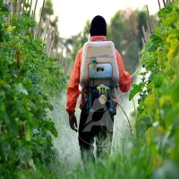 سمپاشی باغبانی پاکدشت قرچک ورامین و....