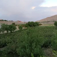خانه-باغ-روستای-حسنارود