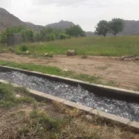 زمین ۷۶۵ متری در میانکوه ( فیض آباد)
