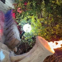 نما کار با سیمان و ملات مخصوص|خدمات پیشه و مهارت|برازجان, |دیوار