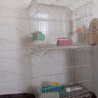 قفس پرنده