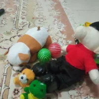 اسباب بازی نو|اسباببازی|گلبهار, شهر جدید گلبهار|دیوار